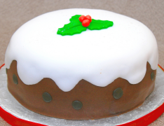 kerstcake 22 lijst